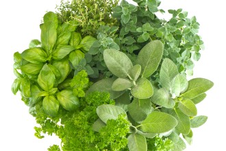 How to: Store Herbs This Summer!