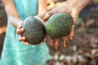 Meet the Man Behind Our Avocados