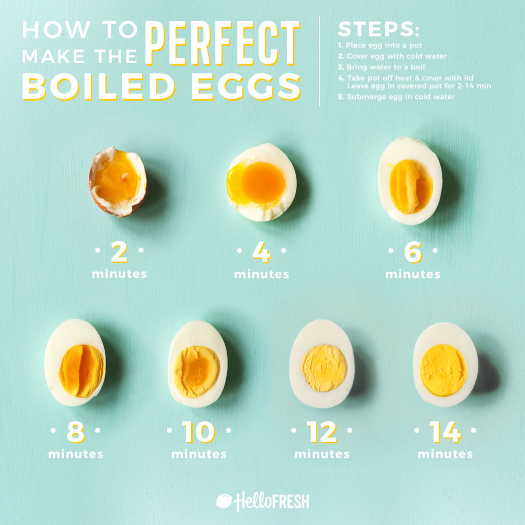 daily 2 boiled eggs benefits