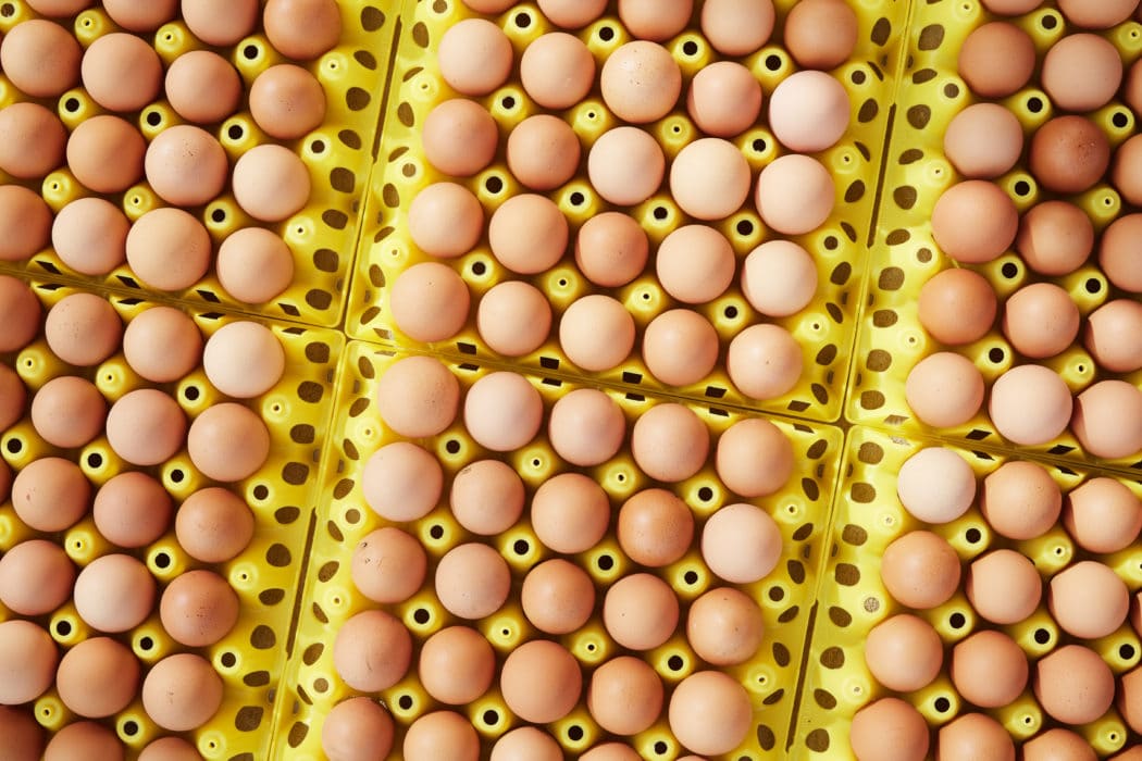 Bake vs Broil vs Roast...What's The Difference? The Fresh Times