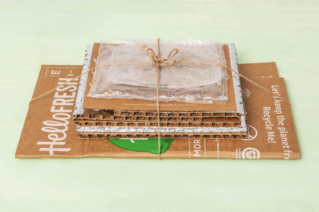 recycling projects-HelloFresh-earth-day-packaging