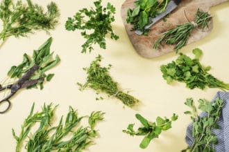 Guide to Storing Fresh Herbs (+what foods they pair best with)