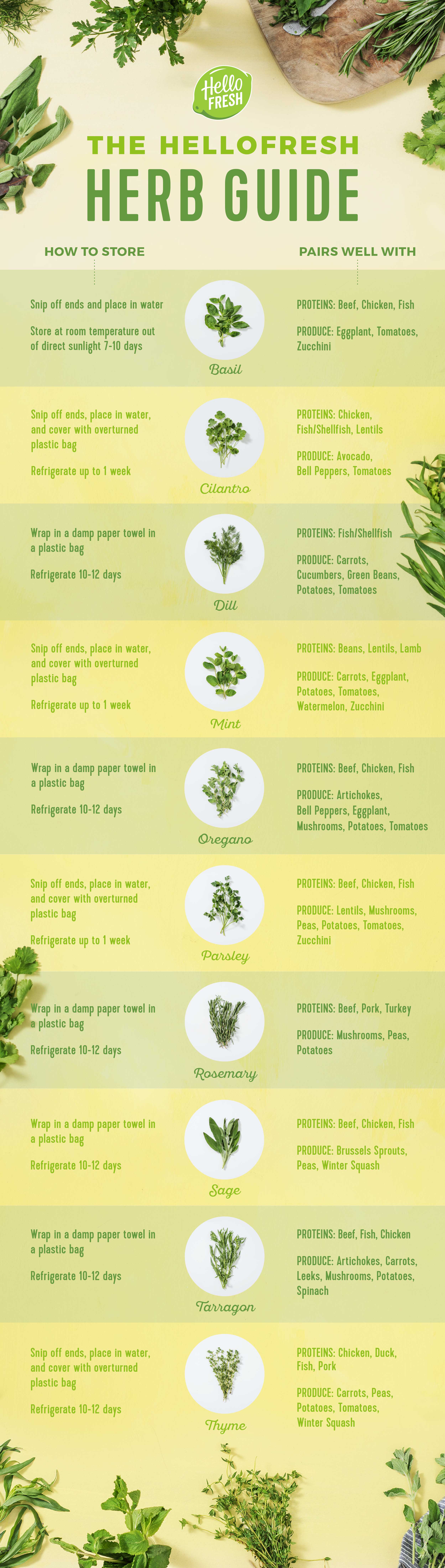 fresh herbs-infographic-how-to-store-cook-HelloFresh