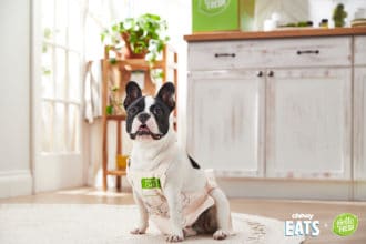 How to Make Chewy DIY Dog Treats From a HelloFresh Recipe