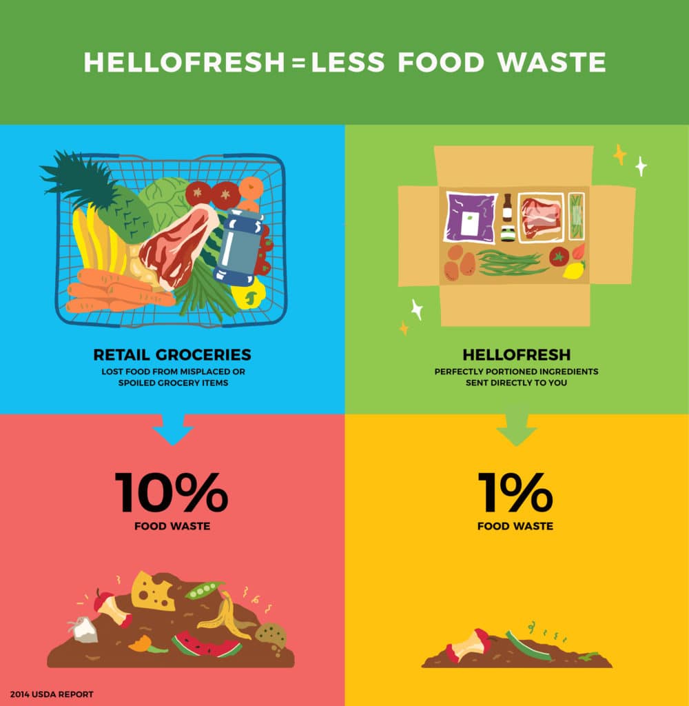 Why HelloFresh Is Offsetting 100% of Our Carbon Emissions | The Fresh Times