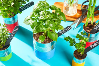 How to Grow Your Own Herbs Indoors